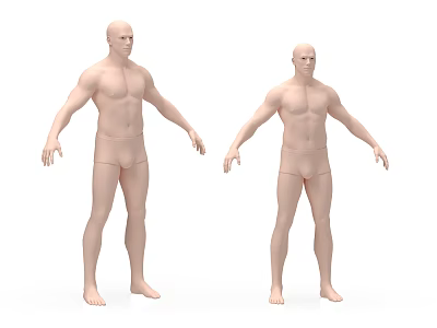Two Male Bald Head Mannequins in Underwear Standing Pose on White Background 3d model