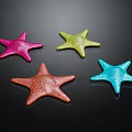 Four Colorful Starfish in Pink Green Orange and Blue on Black Background