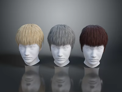 Three Different Colored Wigs Blonde Gray Brown On White Human Head Mannequins For Role Styling 3d model