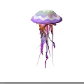 Decorative Jellyfish Like Plant With Pink Purple Tentacles On White Background