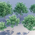 Multiple Green Arbor Trees With Lush Foliage And Various Sizes 3d model