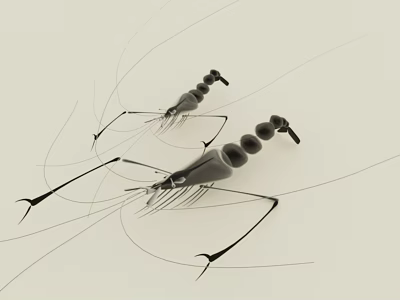Two Shrimp in Black Line Art Style on Light Background 3d model Two Shrimp in Black Line Art Style on Light Background 3d model