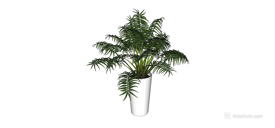 Lush Green Potted Plant With Feathery Leaves In White Ceramic Pot 3d model 