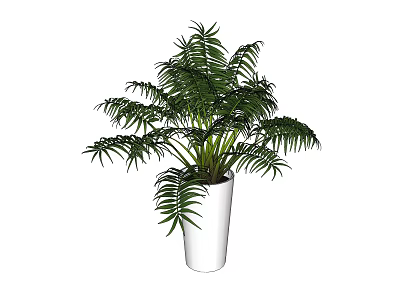 Lush Green Potted Plant With Feathery Leaves In White Ceramic Pot 3d model