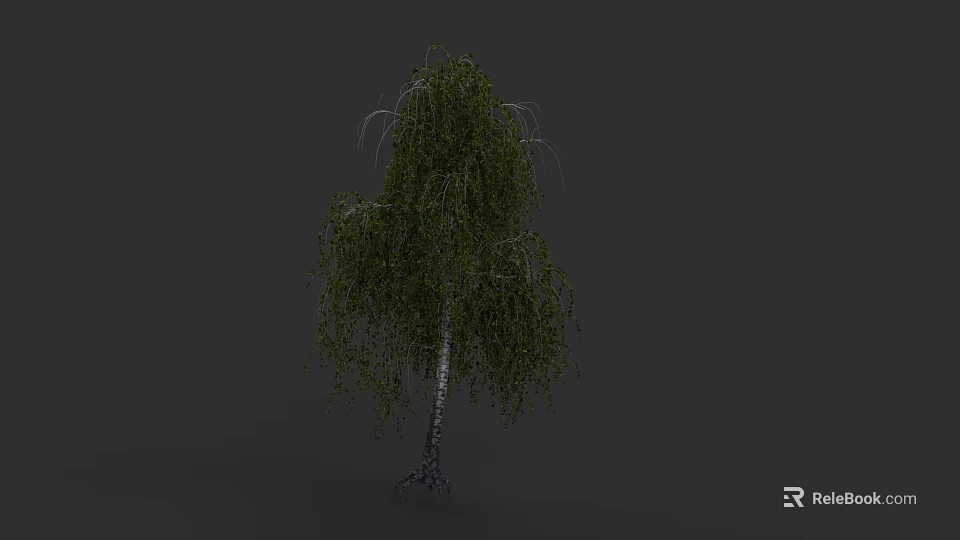 Weeping Willow Plant Painting With White Trunk Drooping Green Leaves And Dark Gray Background 3d model 
