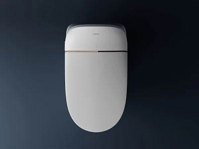 Sleek Modern White Toilet Design With Rose Gold Trim And Minimalist Clean Lines 3d model