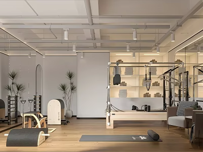 Modern Fitness Studio Interior With Yoga Mat Equipment And Green Plants 3d model