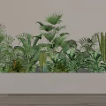 Lush Indoor Green Plant Wall With Various Palm Leaves And Cactus In White Planter