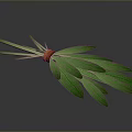 Fresh Green Leafy Plant Bundled With Orange Elastic Band And Vibrant Foliage