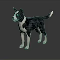 Black and white dog standing on black background with clear reflection 3d model