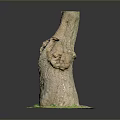 Decorative Tree Stump Figurine With Central Hole And Green Grass Base Design