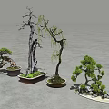 Various Bonsai Plants With Twisted Weeping And Pine Styles In Ceramic Pots 3d model