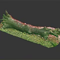 Rustic Wood Log Decorative Display With Stone Base And Gravel Details