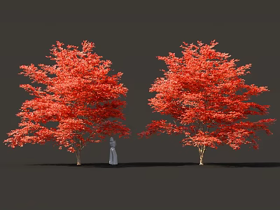 Two Red Arbor Trees With Vibrant Foliage And Person Standing Nearby 3d model