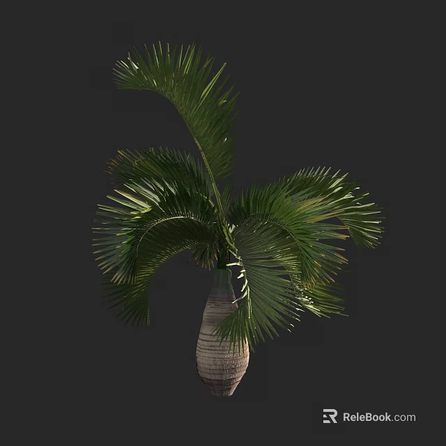 Lush Palm Tree with Green Fronds in Woven Vase on Dark Background 3d model 