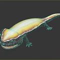 Vibrant Aquatic Salamander Featuring Long Body Smooth Skin And Distinctive Yellow Orange Black Color Pattern