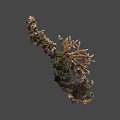 Natural Coral Reef Decor With Rocky Base And Mossy Surface Branches