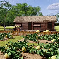 Scenic Thatched Roof Wooden House Surrounded By Vegetable Garden With Yellow Fruits And Trees