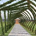 Green Ivy Covered Pergola With Curved Wooden Frames Stone Path Through Grassland And Distant Mountains