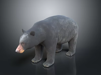 Gray Bear Realistic 3D Model Standing Pose With Detailed Fur Texture 3d model