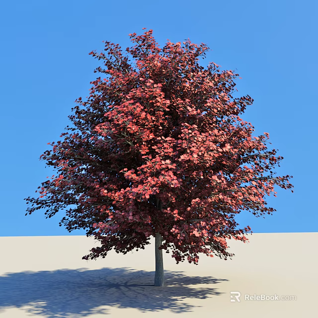 Tall Tree with Vibrant Red Leaves Against Clear Blue Sky and Light Ground 3d model 
