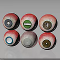 Multiple Eye Organ Models With Various Colored Irises And Eyelashes Design 3d model