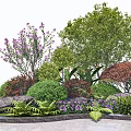 Landscape Tree Pit Design With Various Green Plants Colorful Flowers Shrubs And Decorative Stones