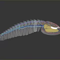 Colorful Caterpillar With Blue Red Yellow Segments And Transparent Body Parts
