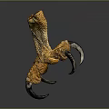 Close Up View Of Yellow Chicken Foot With Textured Skin And Sharp Claws
