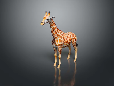 Realistic Giraffe 3D Model As Game Movie Animated Character With Detailed Design 3d model