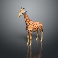 Realistic Giraffe 3D Model As Game Movie Animated Character With Detailed Design