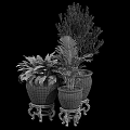 Decorative Bonsai Potted Plants In Blue And White Porcelain Pots With Fish Dragon Patterns