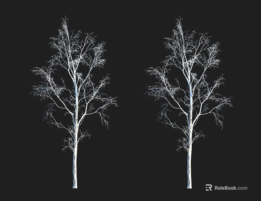 Silhouette of Two Leafless Trees With White Trunks Against Black Background 3d model 