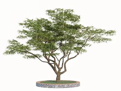 Lush Green Arbor With Branchy Trunk And Stone Circular Base 3d model
