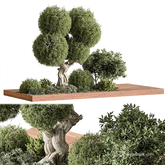 Uniquely Shaped Arbor Featuring Rounded Canopy Twisted Trunk And Small Shrubs On Wooden Platform 3d model