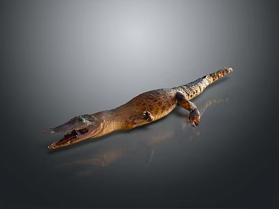 Detailed Brown Crocodile With Rough Scaly Skin Lying On Shiny Reflective Surface 3d model