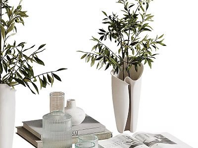 Ornamental Decor Collection With Olive Plants White Vases Books And Glass Cups 3d model