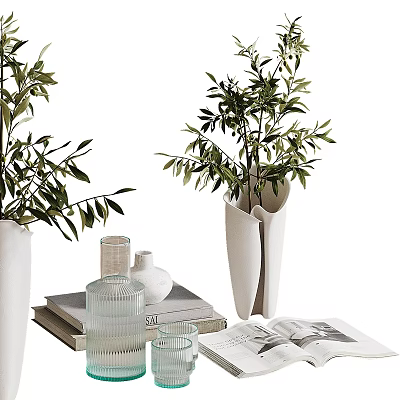 Ornamental Decor Collection With Olive Plants White Vases Books And Glass Cups 3d model