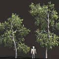 3D Render Of Two Trees With Green Foliage And White Human Figure