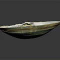 Marine Animal Clam Shell With Iridescent Blue Green Smooth Surface