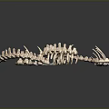 Various 3D Rendered Biological Skeleton Models Display Anatomical Structures On Black Background