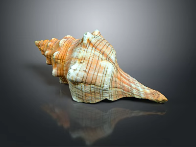 Vibrant Spiral Orange and White Striped Conch Shell Marine Aquatic Animal Natural Decor 3d model