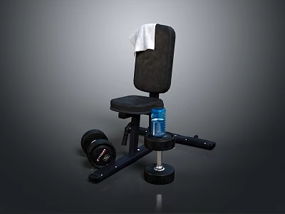 Black Fitness Exercise Bench With White Towel Black Dumbbells And Blue Water Bottle 3d model
