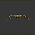 Yellow Striped Spider With Long Legs And Detailed Body On Dark Background