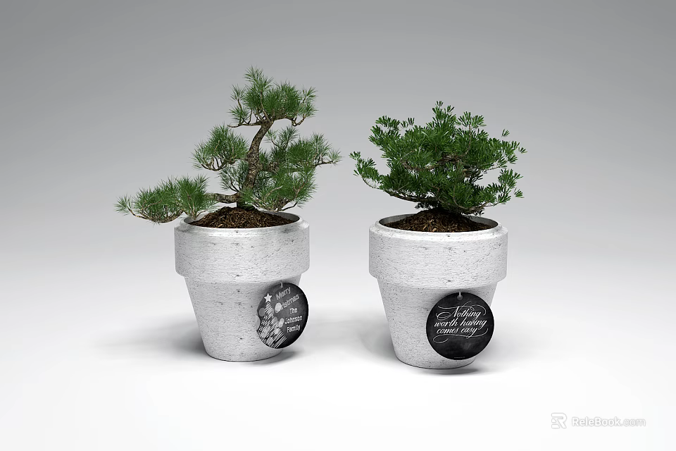 Beautiful Bonsai Potted Plants in White Ceramic Pots with Black Labels and Lush Foliage 3d model 