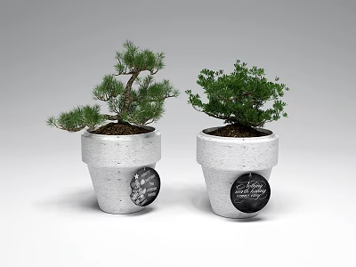 Beautiful Bonsai Potted Plants in White Ceramic Pots with Black Labels and Lush Foliage 3d model