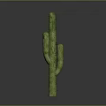 Green Cactus Plant With Multiple Branches And Sharp Spines On Gray Background 3d model