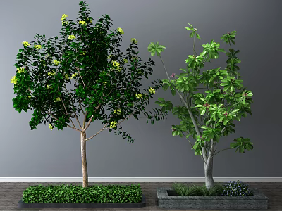 Green Leafy Arbor With Yellow Flowers Planted In Rectangular Planters Against Gray Wall 3d model