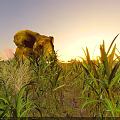 Scenic Sunset Landscape With Cornfield Birds Flying Cooling Towers And Wind Turbines