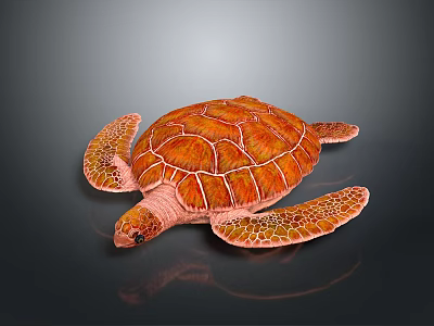 Vibrant Orange Sea Turtle With Textured Shell And Flippers On Dark Background 3d model